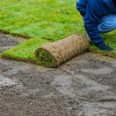 Instalación de césped en Las Merindades - Jardinería Belén
