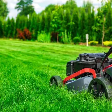 Mantenimiento de césped en Las Merindades - Jardinería Belén